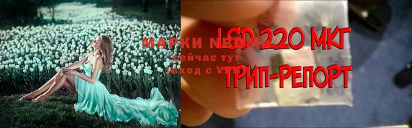 гашик Бердск