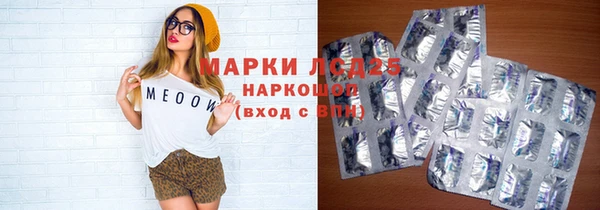 гашик Бердск