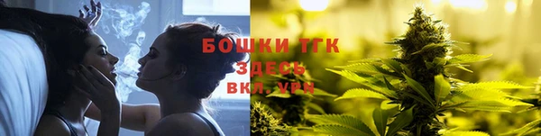 гашик Бердск