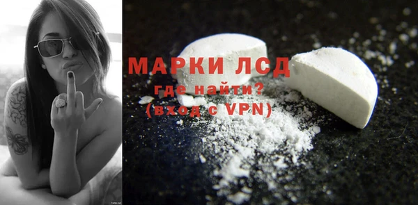 гашик Бердск