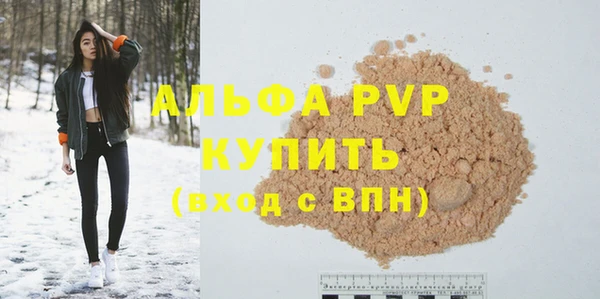 гашик Бердск