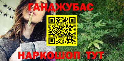 индика Аргун