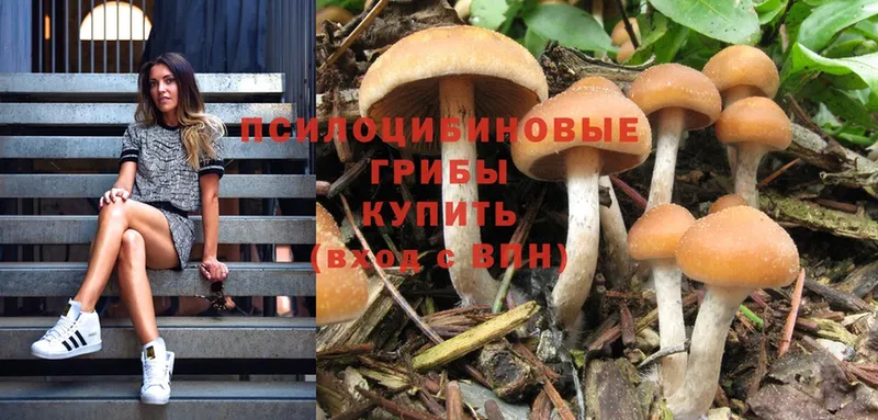 hydra ссылки  Бахчисарай  Галлюциногенные грибы Cubensis 