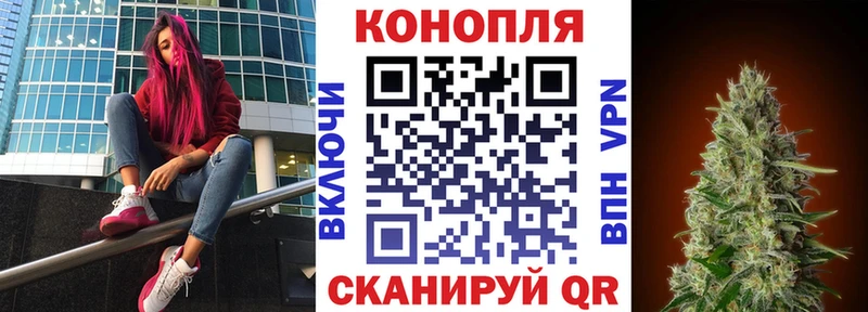 Конопля OG Kush купить Бахчисарай